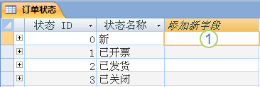 包含“添加新字段”列的数据表