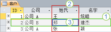 显示记录和字段的布局的“客户”表